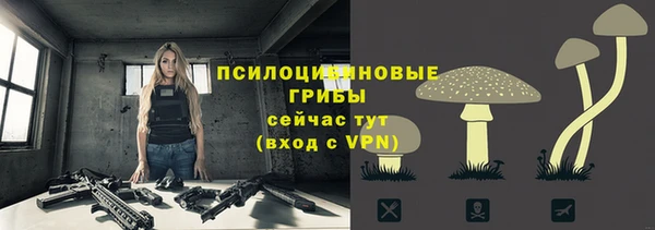apvp Нея