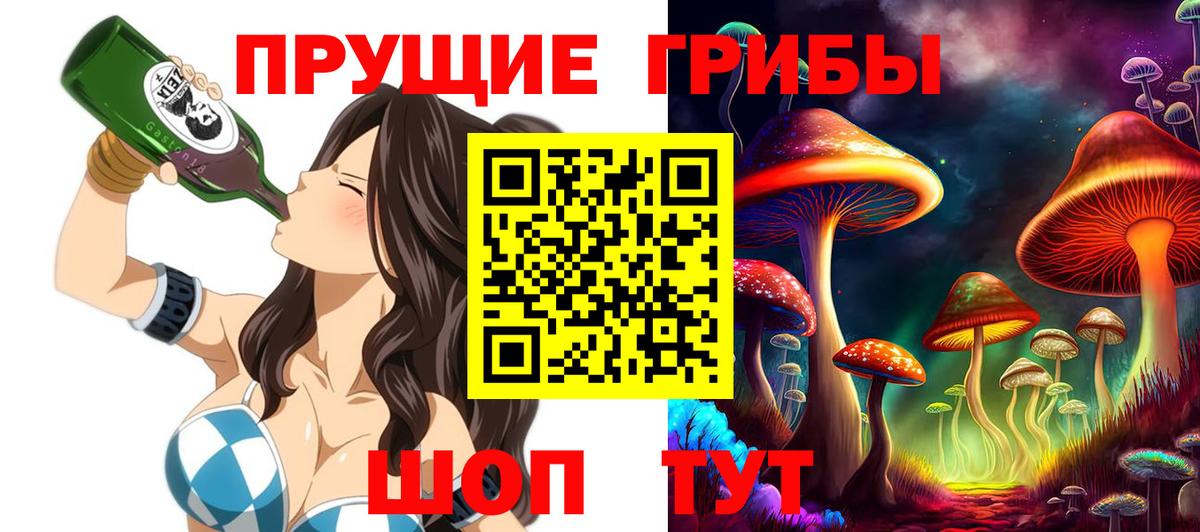 Псилоцибиновые грибы Cubensis  Вход с VPN  Галлюциногенные грибы Psilocybine cubensis  Истра 