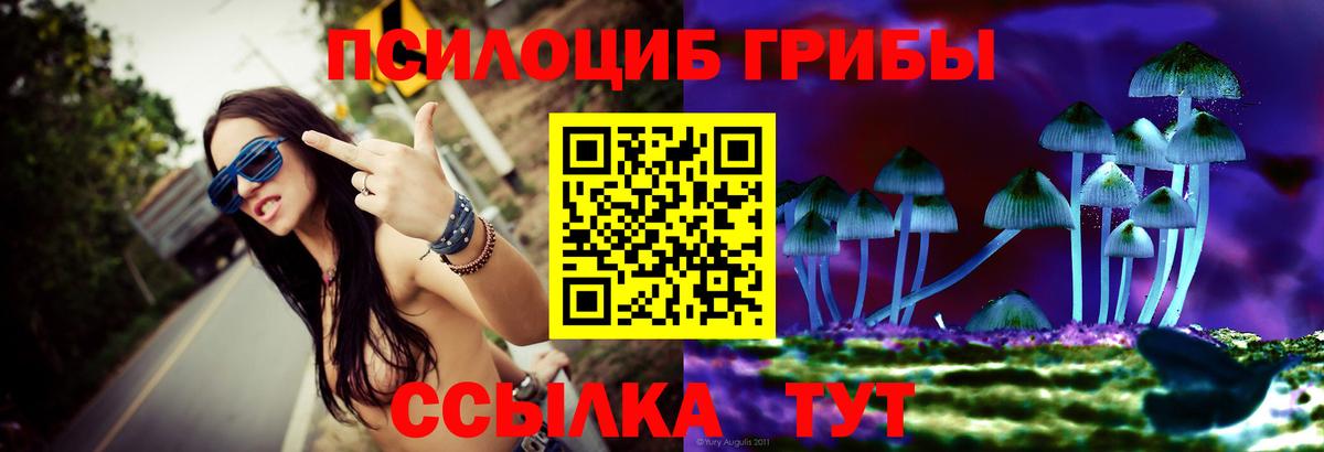 Псилоцибиновые грибы мухоморы Истра